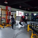 스타 복싱 다이어트 이미지