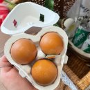 해피 파마씨 이미지