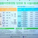 절물자연휴양림 | 제주도 여행코스 절물자연휴양림 피톤치드 가득 힐링 여행지
