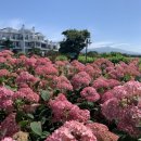 동문동로 이미지