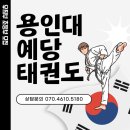 용인대 예당 태권도장 이미지