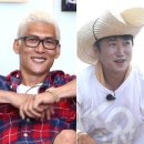 애니멀즈 이미지