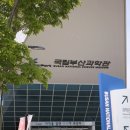 기장 부산국립과학관 예약 특별기획전 사이언스키친 레터링케이크