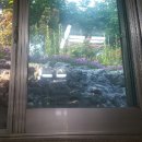 대신 골프 프라자 이미지