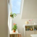 힐링쉼터민박 이미지