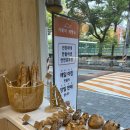 월촌초등학교 | &lt; 거북이 제빵소 &gt; 대구 상인동 빵집, 건강빵맛집, 치아바타, 깜빠뉴, 바게트, 식빵, 메론빵, 대구 상인...