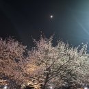 김가네왕솥뚜껑