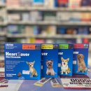 마산정약국 이미지