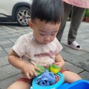미소들