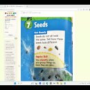 Seeds 이미지