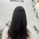 살롱드 다움 네이버블로그