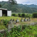 임계초 문래분교장 이미지