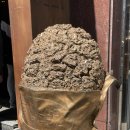 본덤 | 대전 성심당 본점 방문기 | 튀김소보루, 샌드위치 정거장 메뉴 정리&amp;후기