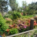 라이브구이 이미지