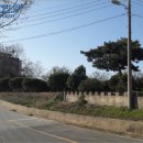 홍성주유소 이미지