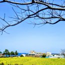 개화-꽃의 노래 이미지