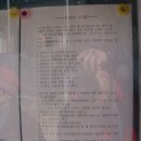 삽교역 소나무길 | [스크랩] 제2의 월출산(용봉산)을 만나다.