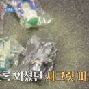 시크릿제니