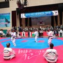 2018 국제 다문화태권도 한마당대회, 양평군에서 성황리에 개최 이미지