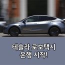 오스틴제약(주) | 테슬라 로보택시 6월 22일 출시, 운전은 엉망, 관련주 주가 급등