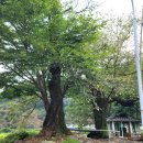 화월경로당 이미지