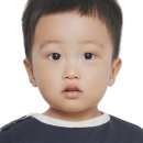 송사진관 - 창원시 진해구 명제로472번길 23 | 배곧 아기여권 사진관 추천, 송스튜디오