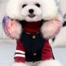 러브아지 이미지