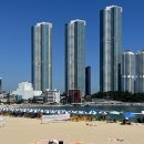 미스터토리 | 프리다이빙 토리강사 8월 월간토리 물놀이용품 유즈풀 반다나 메쉬백 드랍더다이빙 수영복 트루다이브...