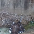 활보농장 이미지