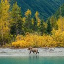 HEALTH AND BEAUTY AUSTRALIA 이미지