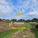 땅콩부동산공인중개사사무소 이미지