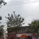 신대림한의원 네이버블로그