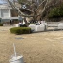 마켓올리