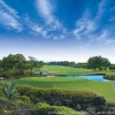 크라운CC 이미지