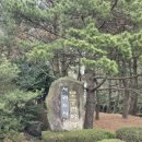 모구리야영장(체력단련장) | 제주가볼만한곳 캠핑장 추천 모구리 야영장 벚꽃명소