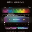 씨월드 안경원 이미지