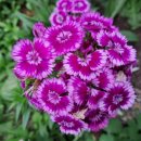 승희농장 이미지