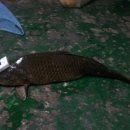 성북낚시터 이미지