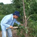 하늘농원 이미지