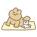 텐텐풋샵