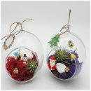 의령군립노인전문병원 | [의령군립노인전문병원] 테라리움행잉 만들기 프로그램