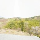 여진공인중개사사무소 이미지