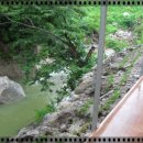 금바우골 이미지