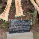 호랑이보부상 이미지