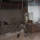 예인체육관 이미지