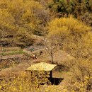 상위마을 입구 이미지