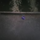 연정낚시터 이미지