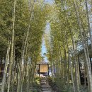 양지길펜션 | 충남 서산 펜션 ‘서라온’ 내돈내산 후기 | 조식, 석식 포함 (서이추환영)