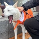 삼이일공커피공장