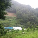 수한농장 Daum카페